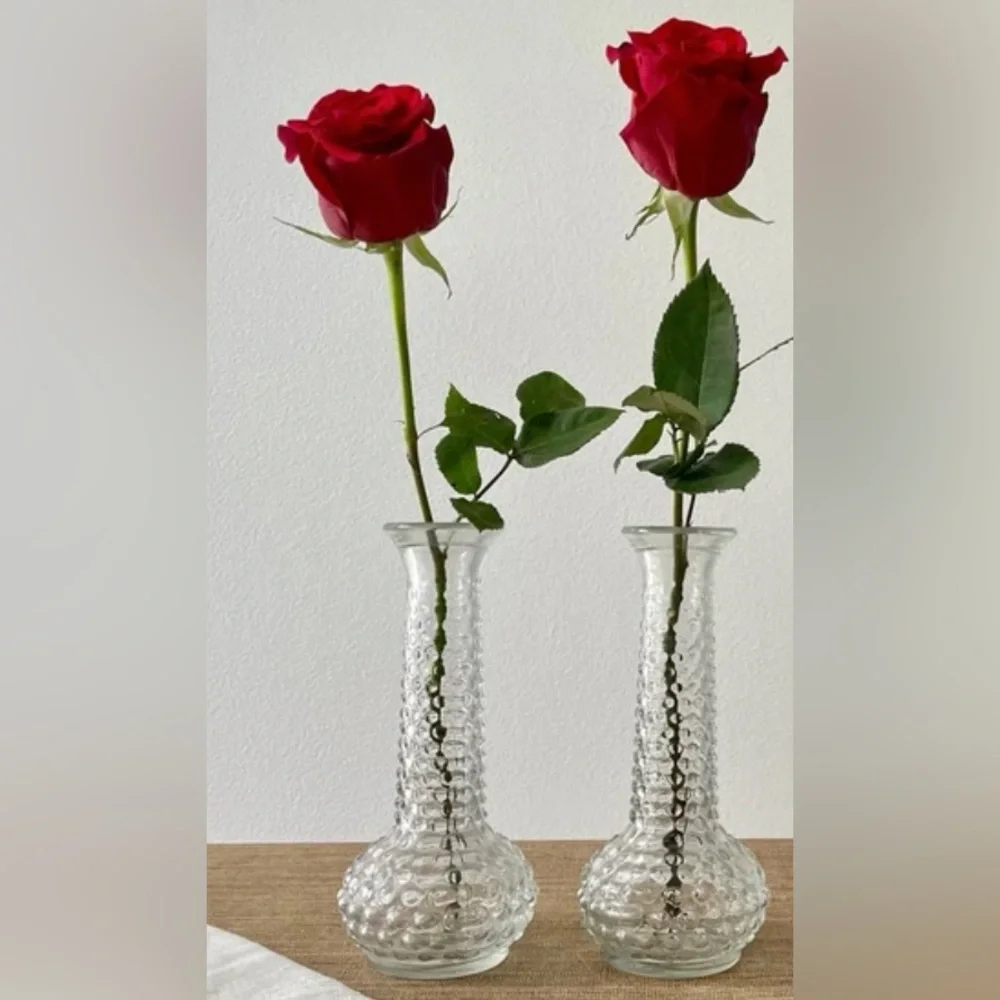 Vintage set of (2) Heirloom Hobnail Bud Vase Clear‎